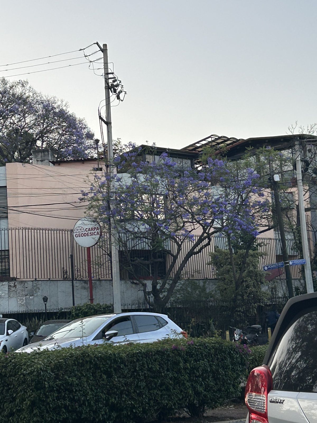 Departamento en Renta en Vía sin nombre con 3 Recámaras, 3 Baños y 363 Metros Cuadrados | luxxu Departamento en Renta en Vía sin nombre con 3 Recámaras, 3 Baños y 363 Metros Cuadrados | luxxu